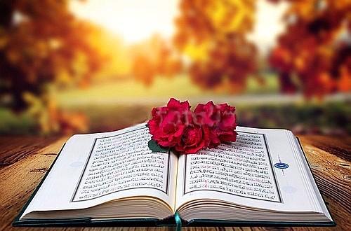 Përse e lexojmë Kuranin kur nuk kuptojmë as një fjalë Arabisht?